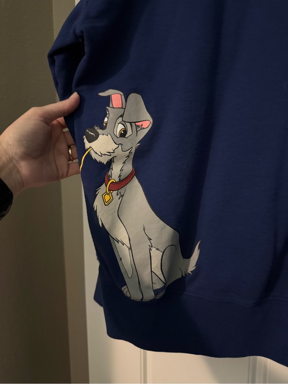 Disney Royal Blue Walt Disney World Crewneck with Lady Graphic - Picture 3 of 4